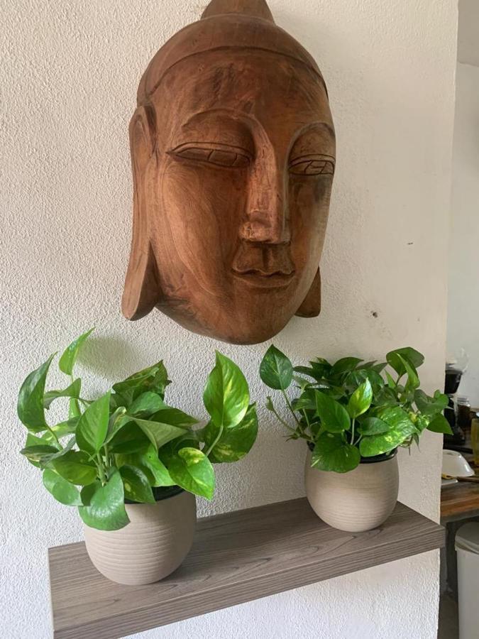 Casa Candra San Francisco  Dış mekan fotoğraf